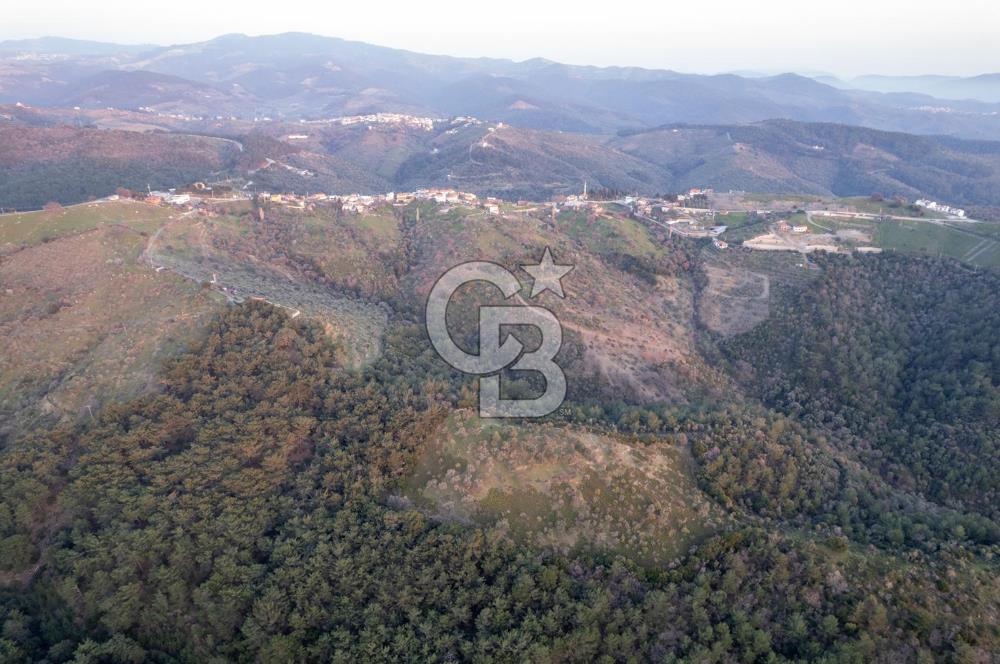 Seferihisar Gölcük'de manzaralı Orman cepheli arazi