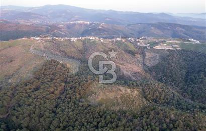 Seferihisar Gölcük'de manzaralı Orman cepheli arazi