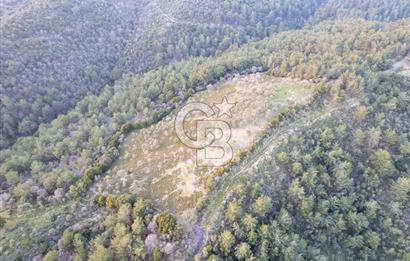 Seferihisar Gölcük'de manzaralı Orman cepheli arazi