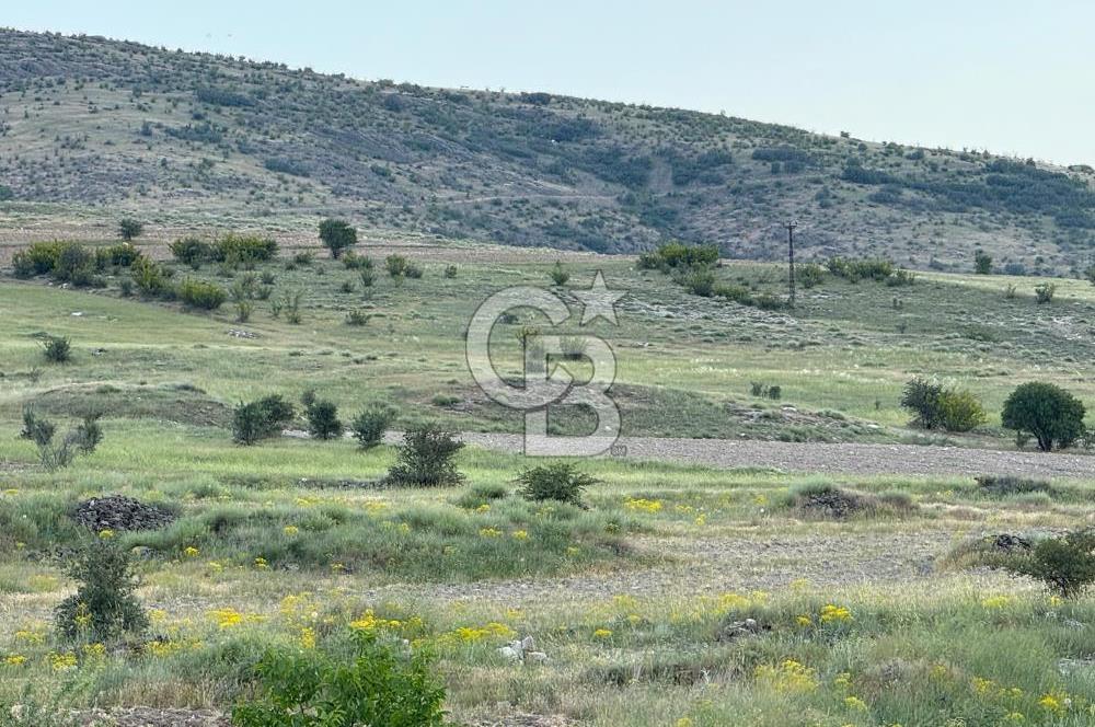 ANKARA GÜDÜL TAŞÖREN'DE BEYPAZARI YOLUNA 550 M MÜSTAKİL TARLA