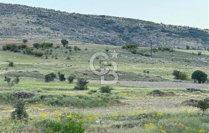 ANKARA GÜDÜL TAŞÖREN'DE BEYPAZARI YOLUNA 550 M MÜSTAKİL TARLA