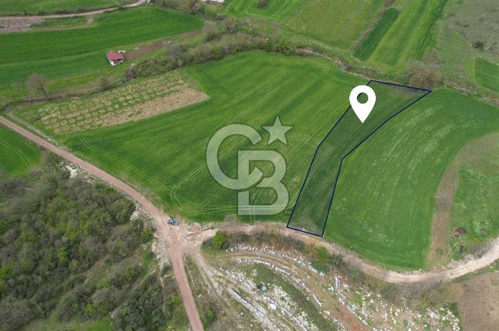 İZMİT KAYNARCA'DA 2445 m² YOLA CEPHE SATILIK TARLA