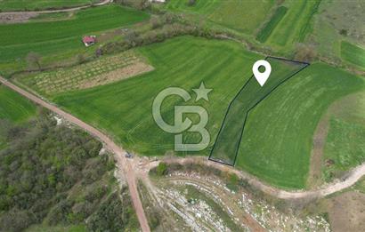 İZMİT KAYNARCA'DA 2445 m² YOLA CEPHE SATILIK TARLA