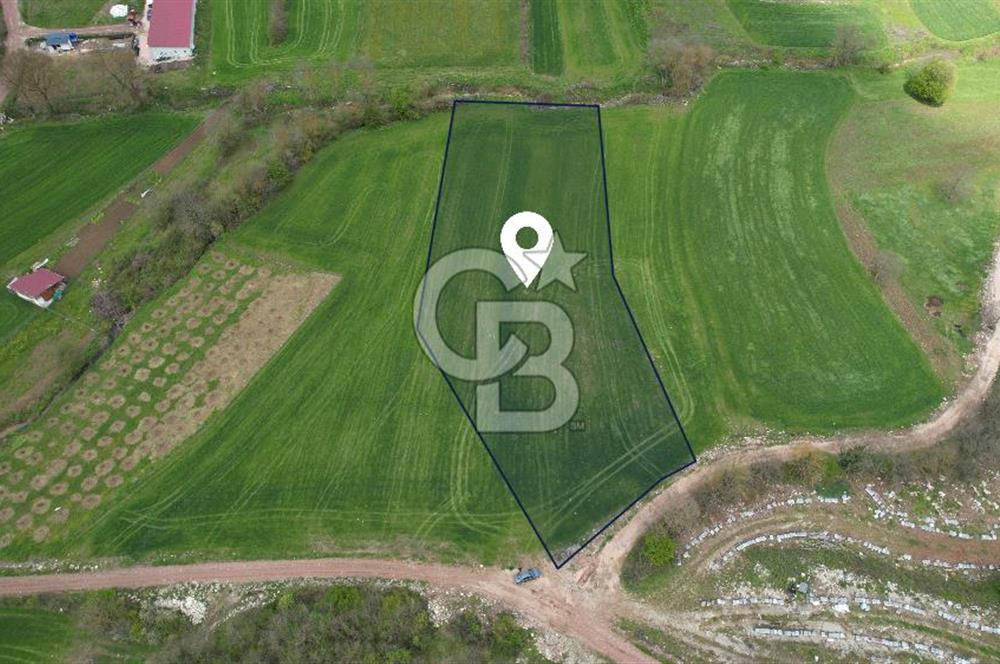 İZMİT KAYNARCA'DA 5467 m² YOLA CEPHE SATILIK TARLA