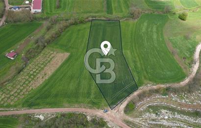 İZMİT KAYNARCA'DA 5467 m² YOLA CEPHE SATILIK TARLA