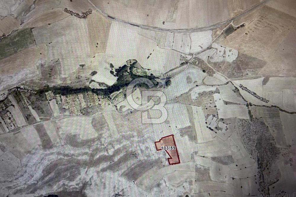 ANKARA GÜDÜL TAŞÖREN'DE BEYPAZARI YOLUNA 550 M MÜSTAKİL TARLA