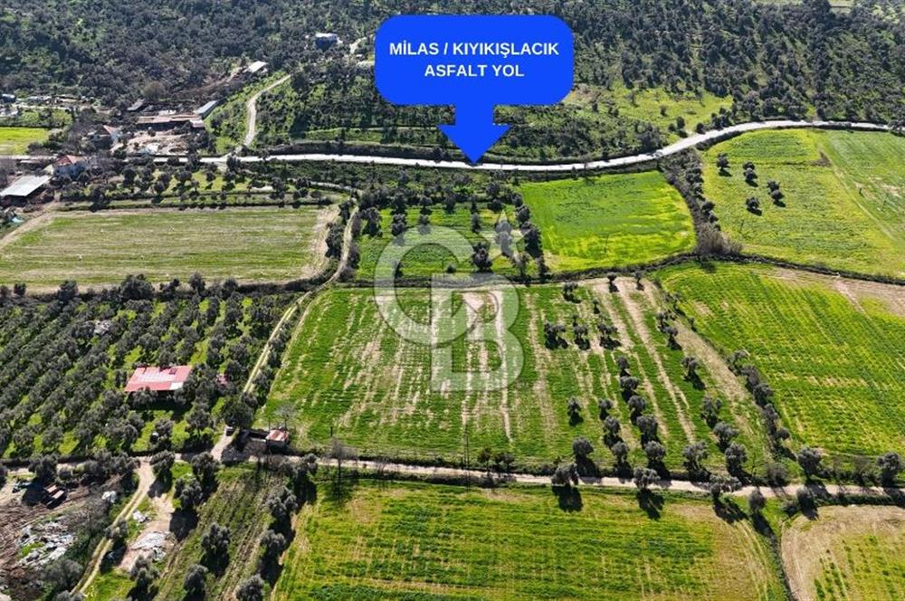 Milas Köşk Köyünde Satılık Tarla