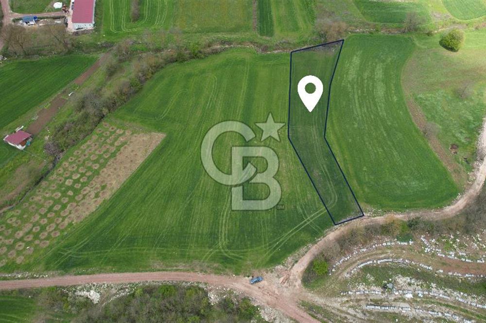 İZMİT KAYNARCA'DA 2445 m² YOLA CEPHE SATILIK TARLA