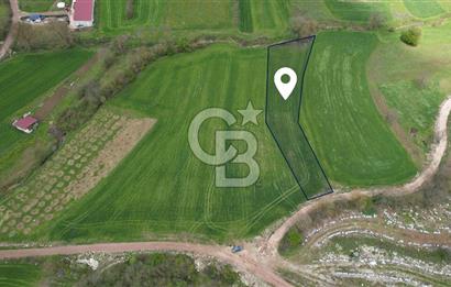 İZMİT KAYNARCA'DA 2445 m² YOLA CEPHE SATILIK TARLA