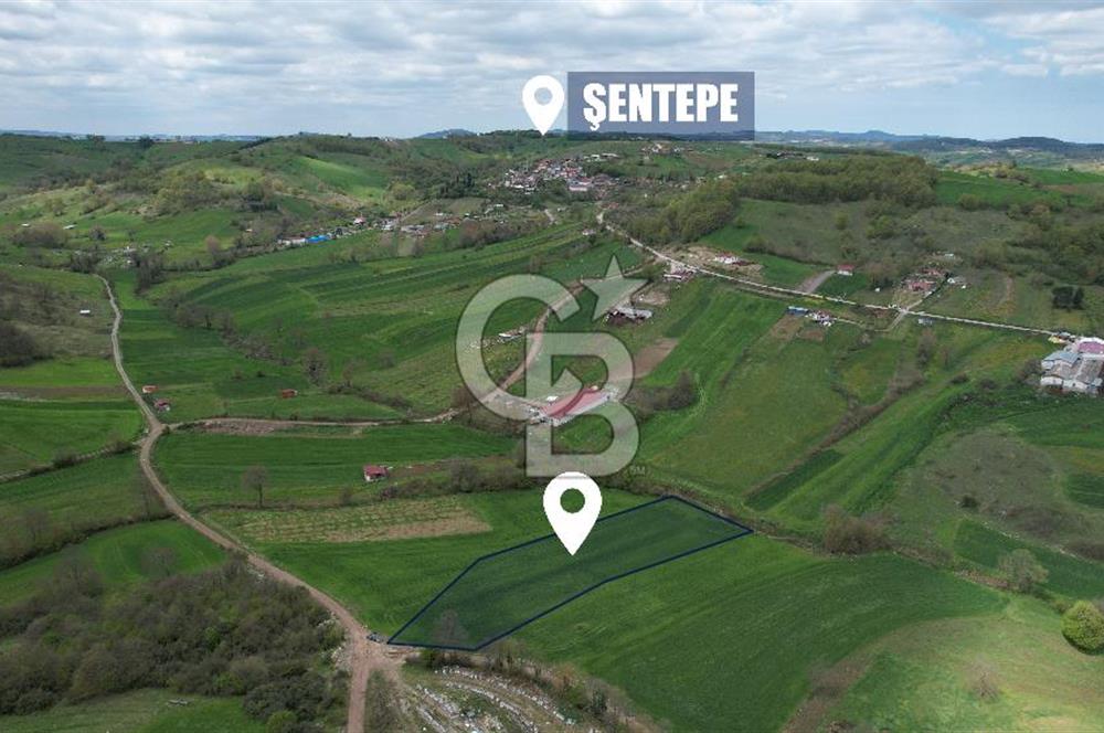 İZMİT KAYNARCA'DA 5467 m² YOLA CEPHE SATILIK TARLA
