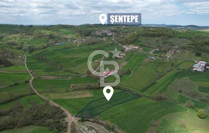 İZMİT KAYNARCA'DA 5467 m² YOLA CEPHE SATILIK TARLA