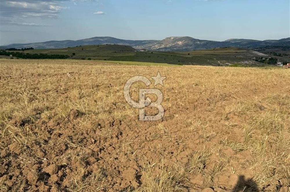 ANKARA GÜDÜL TAŞÖREN'DE KÖY MERKEZİNE 700M MESAFE MÜSTAKİL TARLA