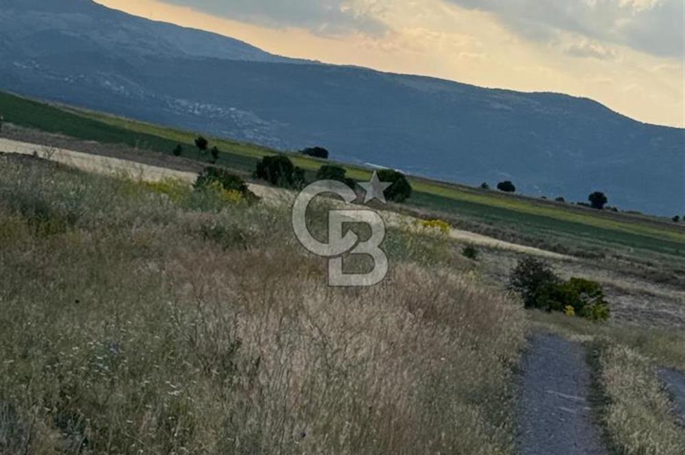 ANKARA GÜDÜL TAŞÖREN'DE KÖY MERKEZİNE 700M MESAFE MÜSTAKİL TARLA