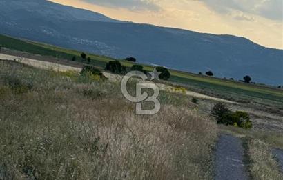 ANKARA GÜDÜL TAŞÖREN'DE KÖY MERKEZİNE 700M MESAFE MÜSTAKİL TARLA