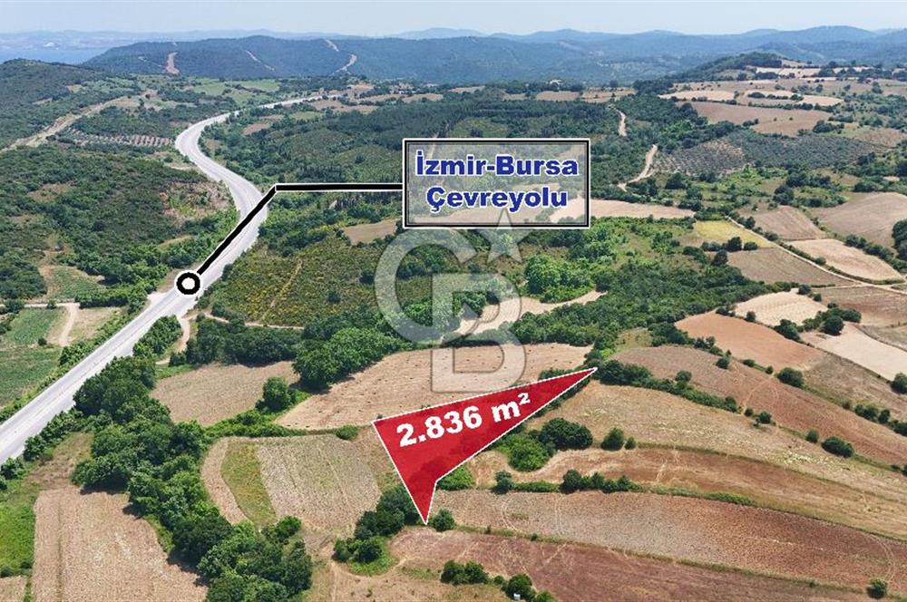 Çanakkale Lapseki Güreci Deniz Manzaralı 2.836 m² Satılık Tarla