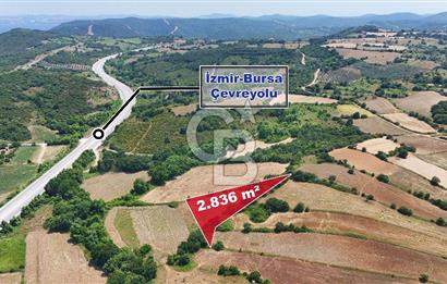 Çanakkale Lapseki Güreci Deniz Manzaralı 2.836 m² Satılık Tarla