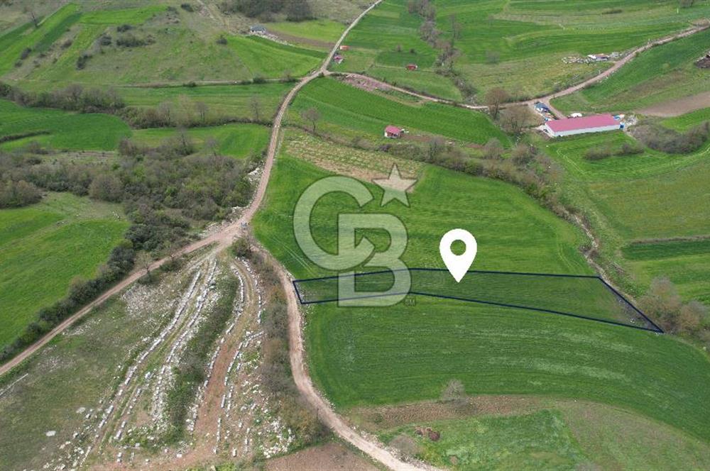 İZMİT KAYNARCA'DA 2445 m² YOLA CEPHE SATILIK TARLA