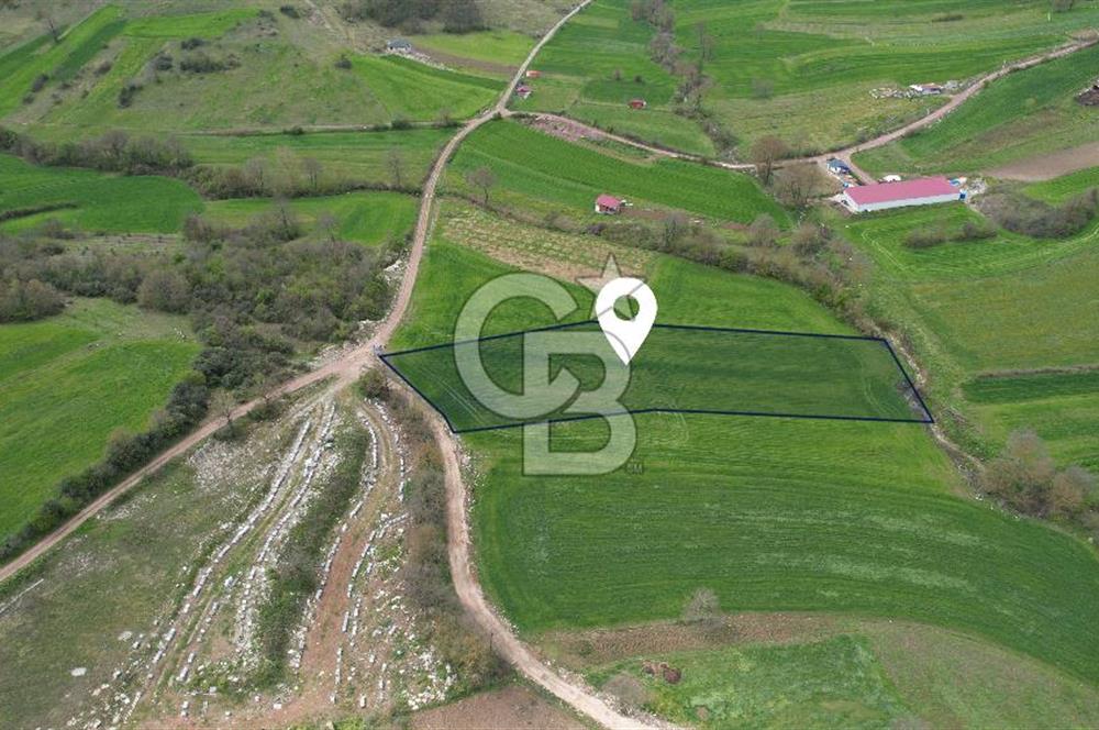 İZMİT KAYNARCA'DA 5467 m² YOLA CEPHE SATILIK TARLA