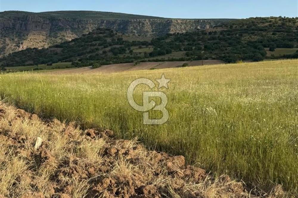 ANKARA GÜDÜL TAŞÖREN'DE KÖY MERKEZİNE 700M MESAFE MÜSTAKİL TARLA