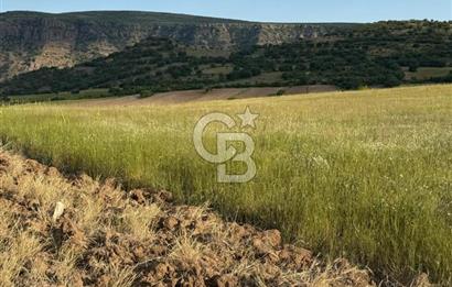 ANKARA GÜDÜL TAŞÖREN'DE KÖY MERKEZİNE 700M MESAFE MÜSTAKİL TARLA