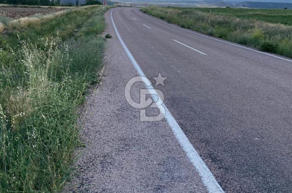 ANKARA GÜDÜL TAŞÖREN'DE BEYPAZARI YOLUNA 550 M MÜSTAKİL TARLA