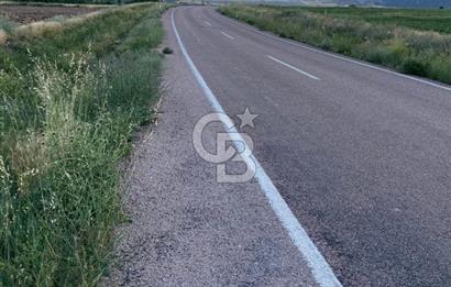 ANKARA GÜDÜL TAŞÖREN'DE BEYPAZARI YOLUNA 550 M MÜSTAKİL TARLA