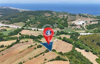Çanakkale Lapseki Güreci Deniz Manzaralı 2.836 m² Satılık Tarla
