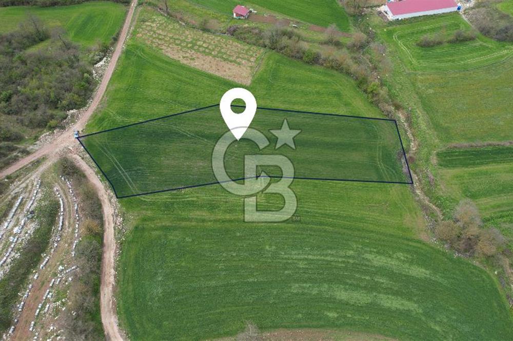 İZMİT KAYNARCA'DA 5467 m² YOLA CEPHE SATILIK TARLA