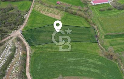 İZMİT KAYNARCA'DA 5467 m² YOLA CEPHE SATILIK TARLA