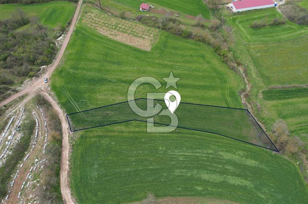 İZMİT KAYNARCA'DA 2445 m² YOLA CEPHE SATILIK TARLA