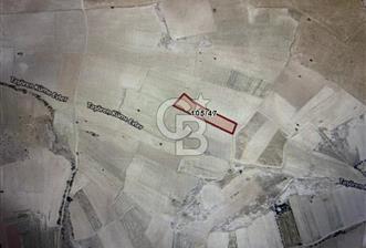 ANKARA GÜDÜL TAŞÖREN'DE KÖY MERKEZİNE 700M MESAFE MÜSTAKİL TARLA