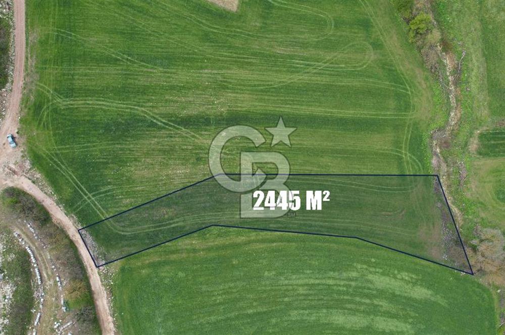 İZMİT KAYNARCA'DA 2445 m² YOLA CEPHE SATILIK TARLA