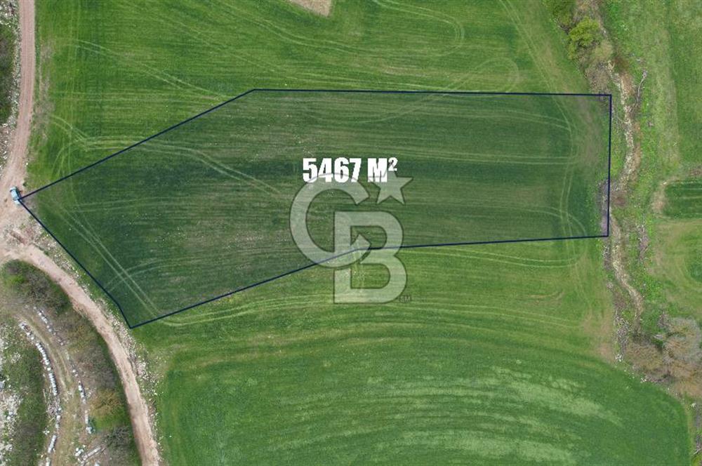 İZMİT KAYNARCA'DA 5467 m² YOLA CEPHE SATILIK TARLA