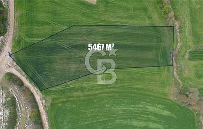 İZMİT KAYNARCA'DA 5467 m² YOLA CEPHE SATILIK TARLA