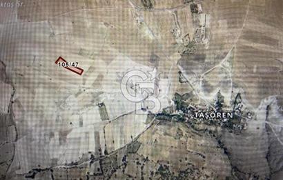 ANKARA GÜDÜL TAŞÖREN'DE KÖY MERKEZİNE 700M MESAFE MÜSTAKİL TARLA