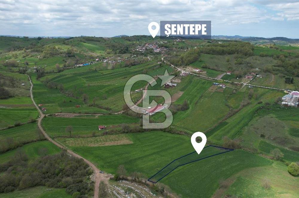 İZMİT KAYNARCA'DA 2445 m² YOLA CEPHE SATILIK TARLA