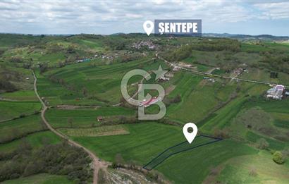 İZMİT KAYNARCA'DA 2445 m² YOLA CEPHE SATILIK TARLA