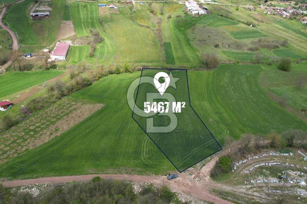 İZMİT KAYNARCA'DA 5467 m² YOLA CEPHE SATILIK TARLA