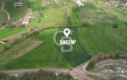 İZMİT KAYNARCA'DA 5467 m² YOLA CEPHE SATILIK TARLA
