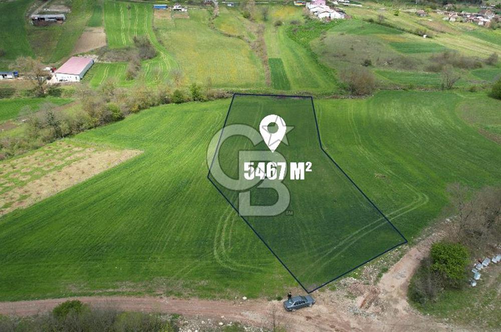 İZMİT KAYNARCA'DA 5467 m² YOLA CEPHE SATILIK TARLA