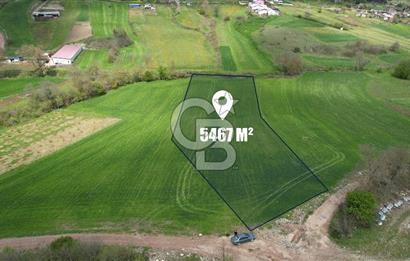 İZMİT KAYNARCA'DA 5467 m² YOLA CEPHE SATILIK TARLA