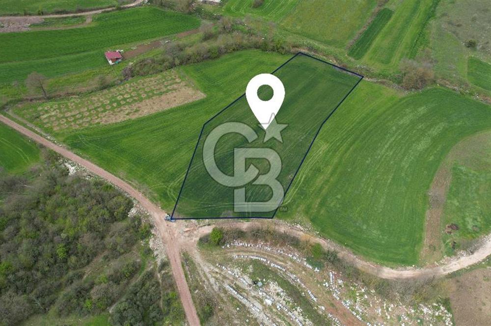 İZMİT KAYNARCA'DA 5467 m² YOLA CEPHE SATILIK TARLA
