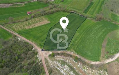 İZMİT KAYNARCA'DA 5467 m² YOLA CEPHE SATILIK TARLA