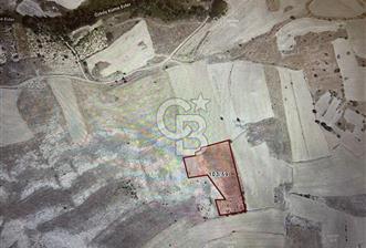 ANKARA GÜDÜL TAŞÖREN'DE BEYPAZARI YOLUNA 550 M MÜSTAKİL TARLA