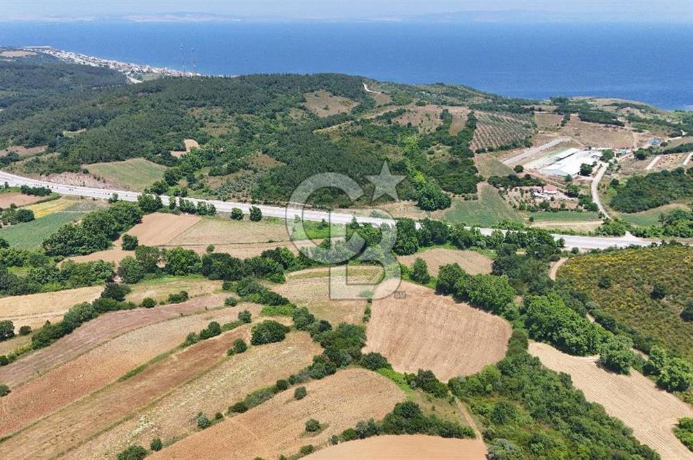Çanakkale Lapseki Güreci Deniz Manzaralı 2.836 m² Satılık Tarla