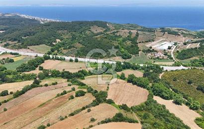 Çanakkale Lapseki Güreci Deniz Manzaralı 2.836 m² Satılık Tarla
