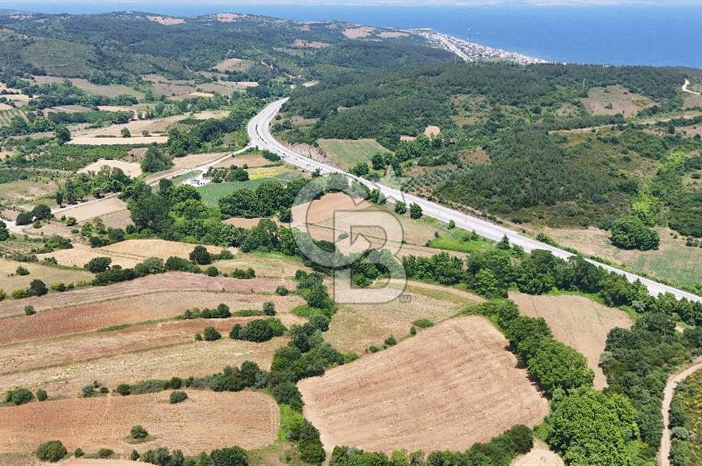 Çanakkale Lapseki Güreci Deniz Manzaralı 2.836 m² Satılık Tarla
