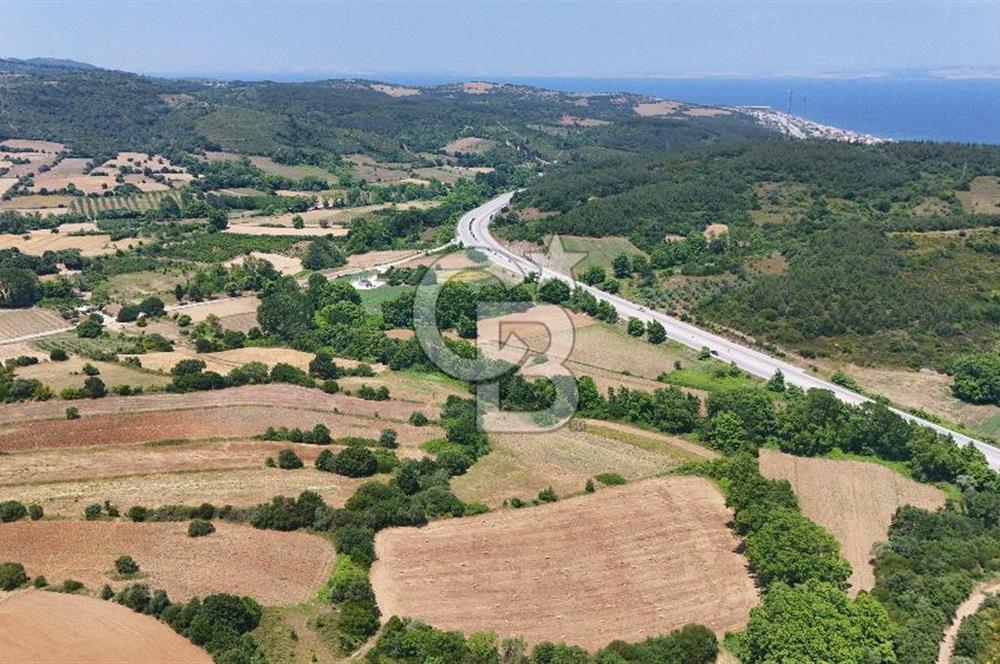 Çanakkale Lapseki Güreci Deniz Manzaralı 2.836 m² Satılık Tarla