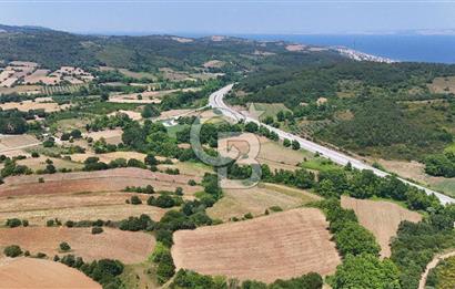 Çanakkale Lapseki Güreci Deniz Manzaralı 2.836 m² Satılık Tarla