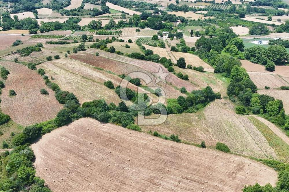Çanakkale Lapseki Güreci Deniz Manzaralı 2.836 m² Satılık Tarla